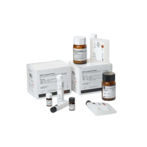 Thermo Kit Fent Rgt 500 mL DRI